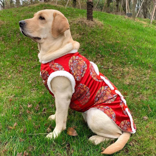 Spring Festival Chinese New Year - Fleece Tang Suit for Dogs